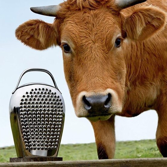 Alessi Cheese Please Grater